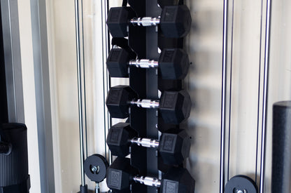 Vertical Dumbbell Storage - Wall Mounted